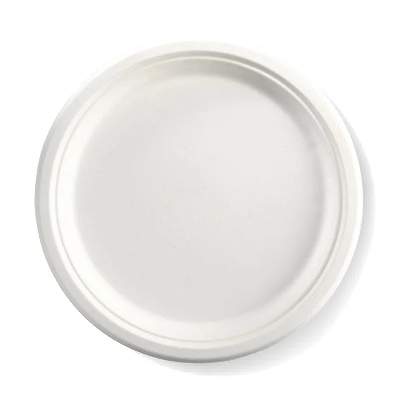 260mm / 10" Round Plant Fibre Plate