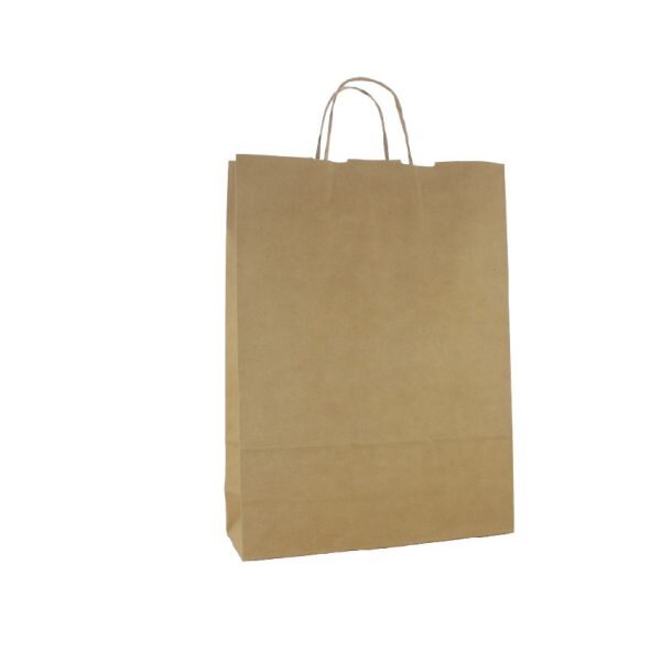 Twist Handle Paper Bag, Medium
